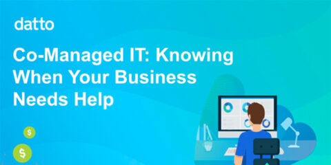 Co Managed IT: Knowing When Your Business Needs Help